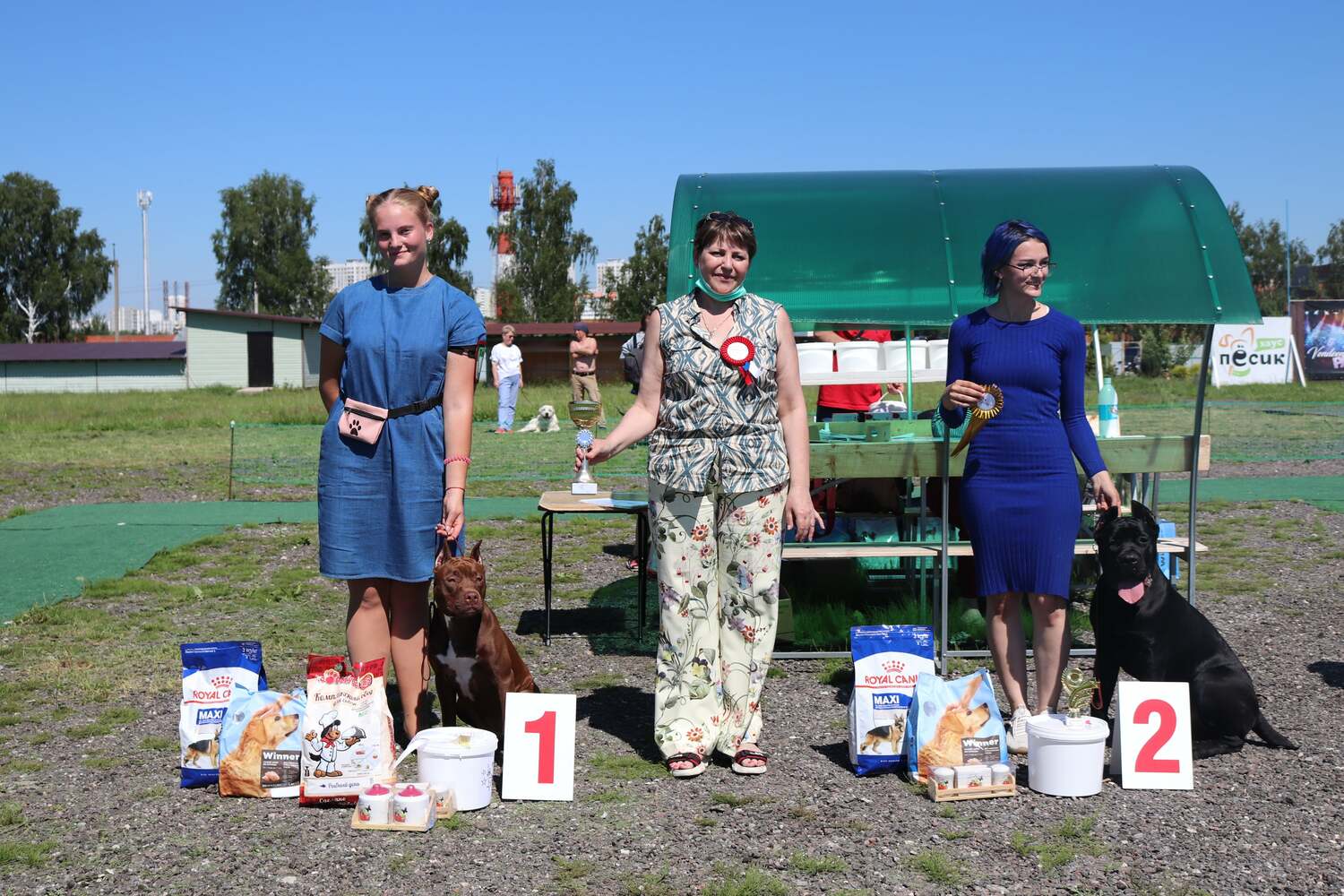 клуб собаководов